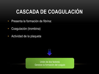 CASCADA DE COAGULACIÓN

• Fase inicial

   • Complejo factor tisular-factor VII



              Activan de forma indirect...