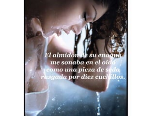 El almidón de su enagua me sonaba en el oido como una pieza de seda rasgada por diez cuchillos. 