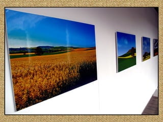 Casa de las Conchas  cromatismos