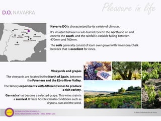 GLOBALIZACIÓN DE VINOS, S.L.
AXIAL VINOS SPAIN | EUROPE | AXIAL WINES USA
D.O. NAVARRA
Navarra DO is characterized by its variety of climates.
It’s situated between a sub-humid zone to the north and an arid
zone to the south, and the rainfall is variable falling between
470mm and 760mm.
The soils generally consist of loam over gravel with limestone/chalk
bedrock that is excellent for vines.
Vineyards and grapes
The vineyards are located in the North of Spain, between
the Pyrenees and the Ebro River Valley.
The Winery experiments with different wines to produce
a rich variety.
Garnacha has become a selected grape. This wine strain is
a survival. It faces hostile climate conditions such as
dryness, sun and the wind.
Pleasure in life
© Axial Globalización de Vinos
 