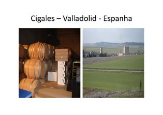 Cigales – Valladolid ‐ Espanha
 