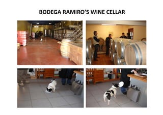 BODEGA RAMIRO’S WINE CELLAR
 