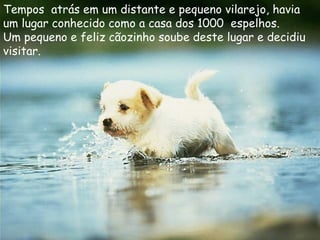 Tempos atrás em um distante e pequeno vilarejo, havia
um lugar conhecido como a casa dos 1000 espelhos.
Um pequeno e feliz cãozinho soube deste lugar e decidiu
visitar.
 