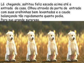 Lá chegando, saltitou feliz escada acima até a
entrada  da casa. Olhou através da porta de entrada
com suas orelhinhas bem levantadas e a cauda
balançando tão rapidamente quanto podia.
Para sua grande surpresa,
 