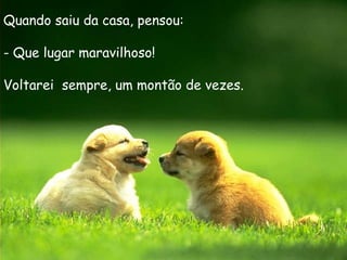 Quando saiu da casa, pensou:

- Que lugar maravilhoso!

Voltarei sempre, um montão de vezes.
 