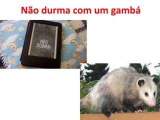 Não durma com um gambá
 
