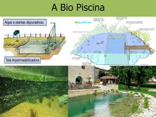 A Bio Piscina
 