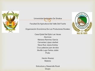 Universidad Autónoma De Sinaloa
Facultad De Agricultura Del Valle Del Fuerte
Organización Económica De Los Productores Rurales:
Casa Ejidal Del Ejido Las Vacas
Alumnos:
Mariana Ramírez García
Cervantes López claribel
Nava Ruiz Jesús Andrey
Cruz palacios juan de dios
Murillo Lugo Carlos Julián
Profe:
Hector Álvarez
Materia:
Estructura y Desarrollo Rural
Grupo:
 