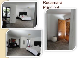 Recamara
Principal
 