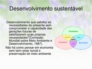 Desenvolvimento sustentável Desenvolvimento que satisfaz as necessidades do presente sem comprometer a capacidade das gerações futuras de satisfazerem suas próprias necessidades"(Comissão Mundial sobre Meio Ambiente e Desenvolvimento, 1987).  Não há como pensar em economia sem bem estar social e preservação do meio ambiente 