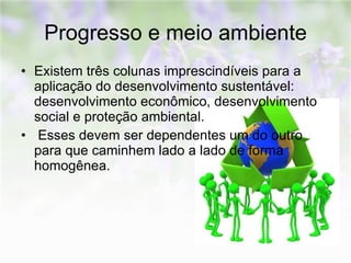 Progresso e meio ambiente Existem três colunas imprescindíveis para a aplicação do desenvolvimento sustentável: desenvolvimento econômico, desenvolvimento social e proteção ambiental. Esses devem ser dependentes um do outro para que caminhem lado a lado de forma homogênea. 