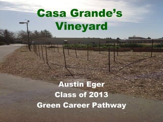 Casa Grande’s
Vineyard
Austin Eger
Class of 2013
Green Career Pathway
 