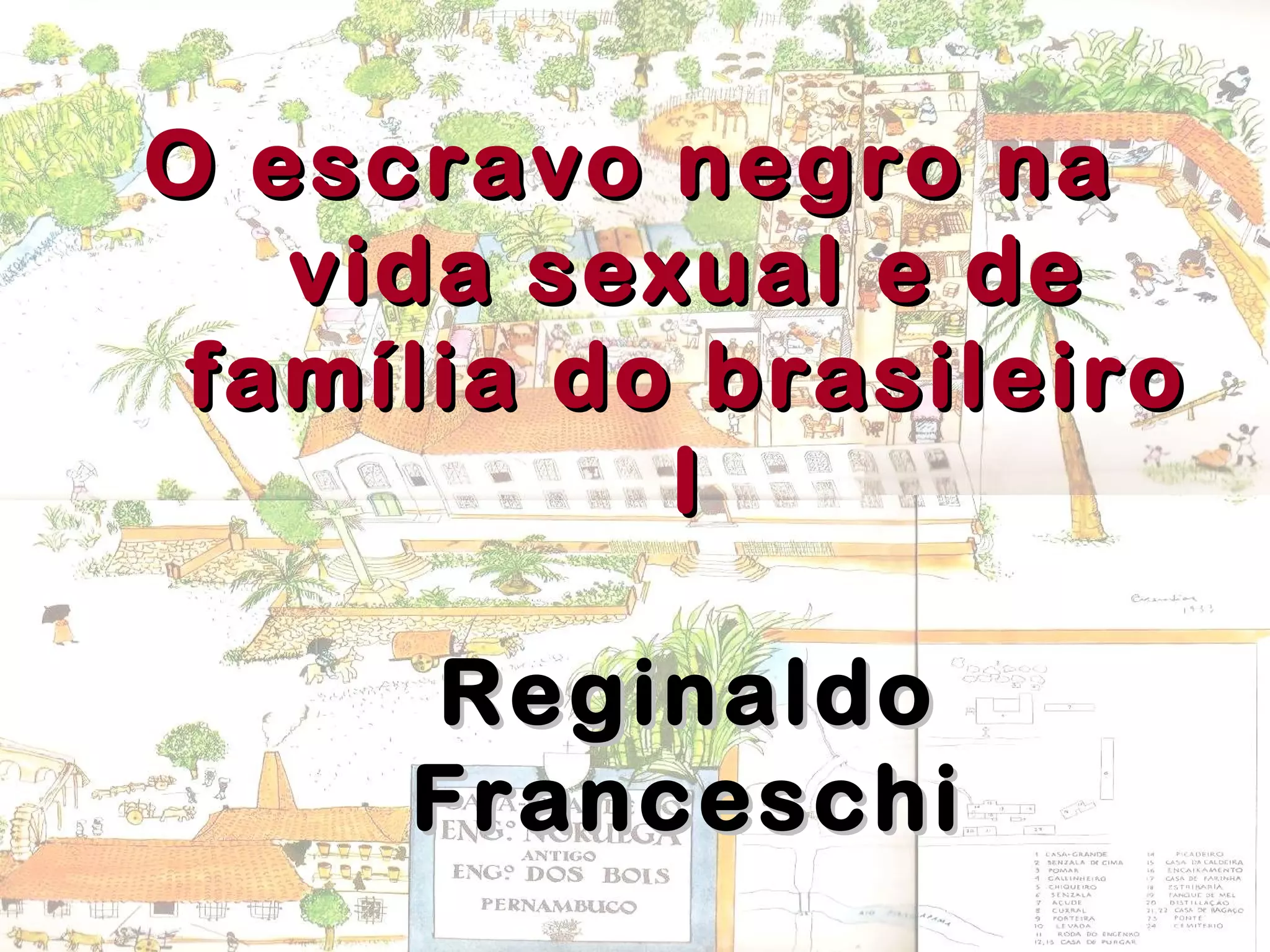 O escravo negro naO escravo negro na
vida sexual e devida sexual e de
família do brasileirofamília do brasileiro
II
ReginaldoReginaldo
FranceschiFranceschi
 