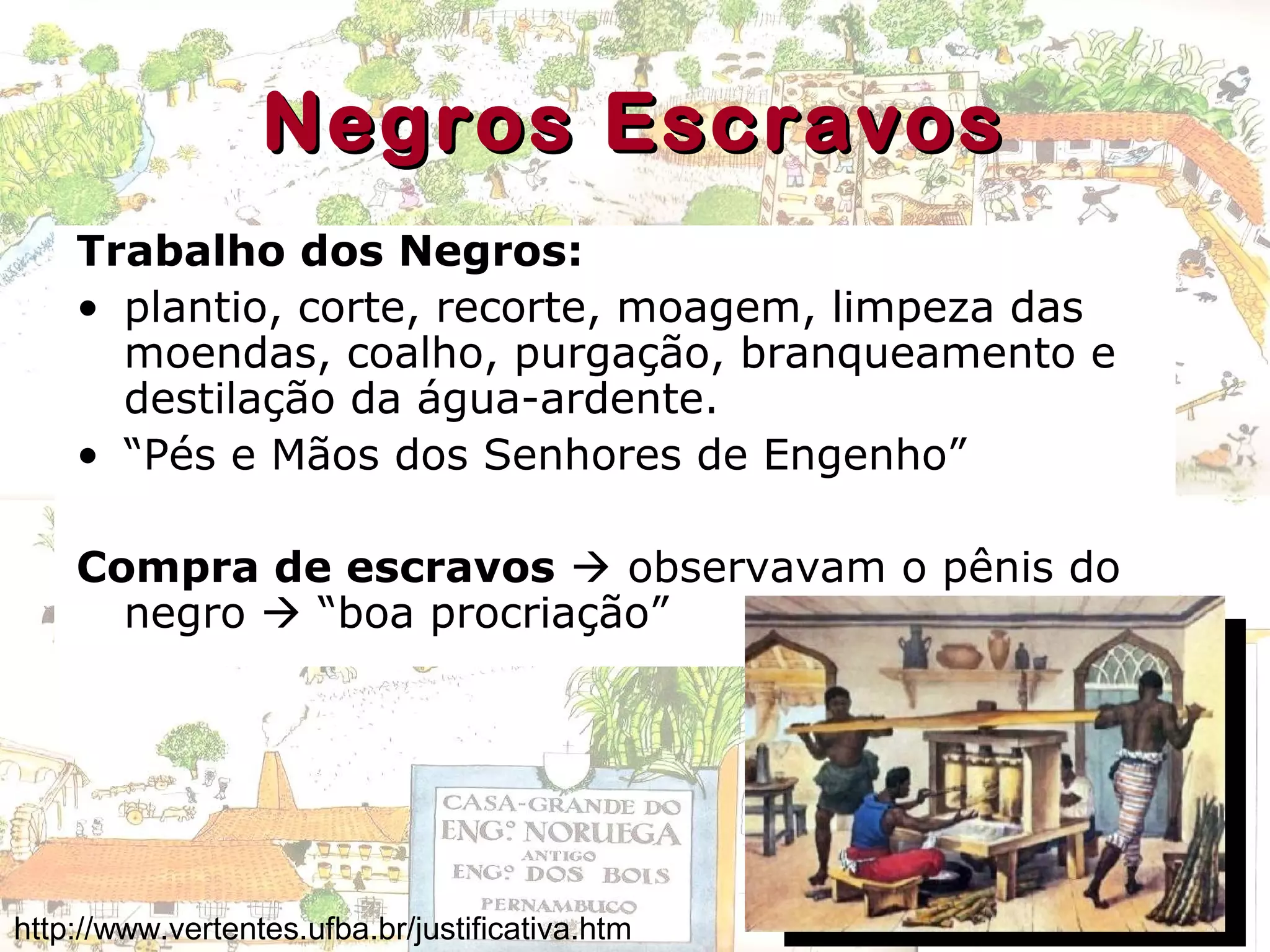 Negros EscravosNegros Escravos
Trabalho dos Negros:
• plantio, corte, recorte, moagem, limpeza das
moendas, coalho, purgação, branqueamento e
destilação da água-ardente.
• “Pés e Mãos dos Senhores de Engenho”
Compra de escravos  observavam o pênis do
negro  “boa procriação”
http://www.vertentes.ufba.br/justificativa.htm
 