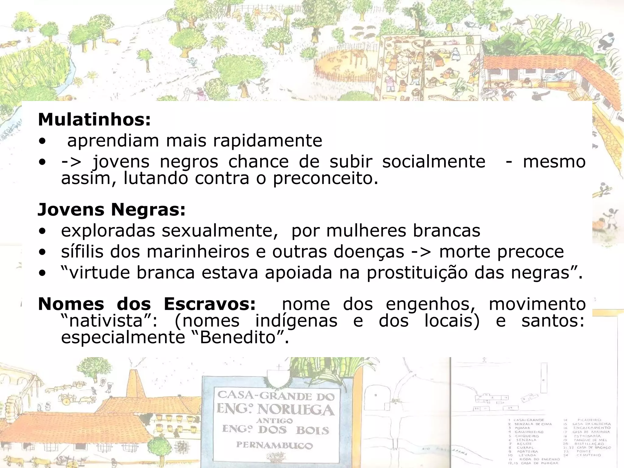 Mulatinhos:
• aprendiam mais rapidamente
• -> jovens negros chance de subir socialmente - mesmo
assim, lutando contra o preconceito.
Jovens Negras:
• exploradas sexualmente, por mulheres brancas
• sífilis dos marinheiros e outras doenças -> morte precoce
• “virtude branca estava apoiada na prostituição das negras”.
Nomes dos Escravos: nome dos engenhos, movimento
“nativista”: (nomes indígenas e dos locais) e santos:
especialmente “Benedito”.
 