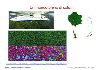 Un mondo pieno di colori
http://www.ted.com/talks/greg_asner_ecology_from_the_air
 