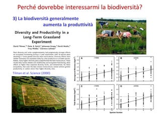 Perché dovrebbe interessarmi la biodiversità?
Tilman et al. Science (2000)
3) La biodiversità generalmente
aumenta la prod...
