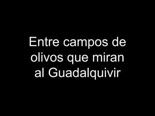 Entre campos de
olivos que miran
 al Guadalquivir
 