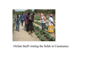 Oxfam Staff visiting the fields in Casamance 