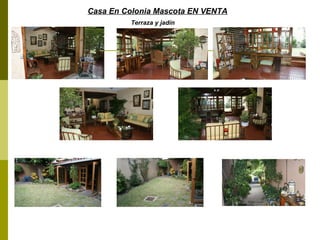 Casa En Colonia Mascota EN VENTA
         Terraza y jadín
 