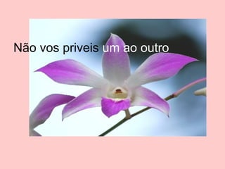 Não vos priveis  um ao outro 