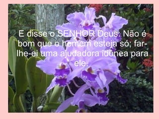 E disse o SENHOR Deus: Não é bom que o homem esteja só; far-lhe-ei uma ajudadora idônea para ele.  