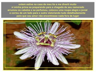 ontem estive na casa de meu tio e me diverti muito
vi minha prima se preparando para a chegada de seu namorado
arrumou os cabelos e se perfumou, colocou uma roupa alegre e jovial
e correu de um lado para o outro vistoriando tudo detalhadamente
para que seu amor não encontrasse nada fora de lugar
a
 