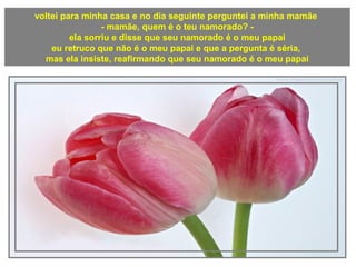 voltei para minha casa e no dia seguinte perguntei a minha mamãe
- mamãe, quem é o teu namorado? -
ela sorriu e disse que seu namorado é o meu papai
eu retruco que não é o meu papai e que a pergunta é séria,
mas ela insiste, reafirmando que seu namorado é o meu papai
 