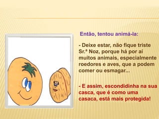 - Deixe estar, não fique triste
Sr.ª Noz, porque há por aí
muitos animais, especialmente
roedores e aves, que a podem
comer ou esmagar...
- E assim, escondidinha na sua
casca, que é como uma
casaca, está mais protegida!
Então, tentou animá-la:
 