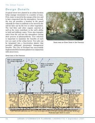 CA: San Francisco: Low Impact Design Toolkit for Stormwater | PDF