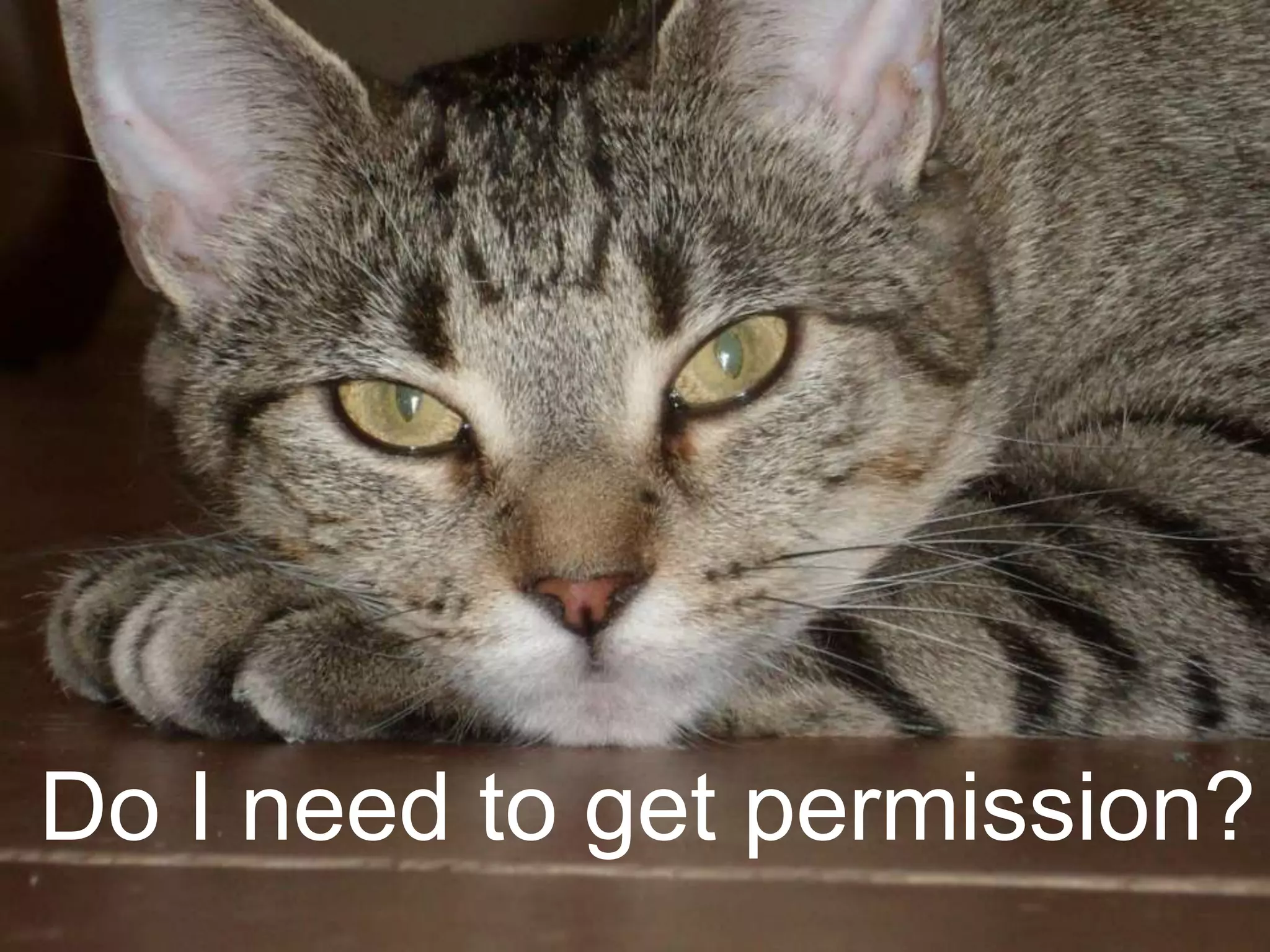  Do I need to get permission?