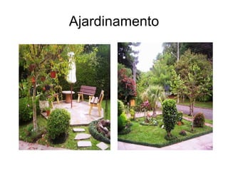 Ajardinamento 