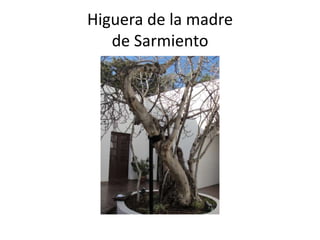 Casa sarmiento