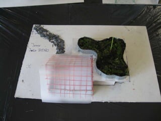 Casas bioclimáticas 