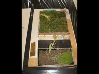 Casas bioclimáticas 