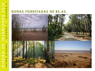 DUNAS FORESTADAS DE BS.AS.
DISEÑODEINTERIORES2016
INTRODISEÑO|DISEÑO1|DISEÑO2
 