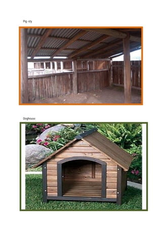 Casas Dos Animais Flashcards