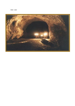 Casas Dos Animais Flashcards