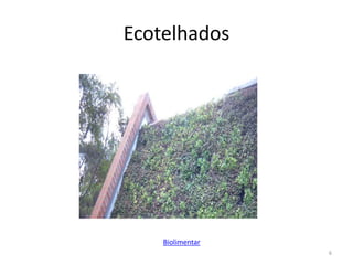 Ecotelhados
6
Biolimentar
 