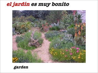 el jard ín  es muy bonito garden 