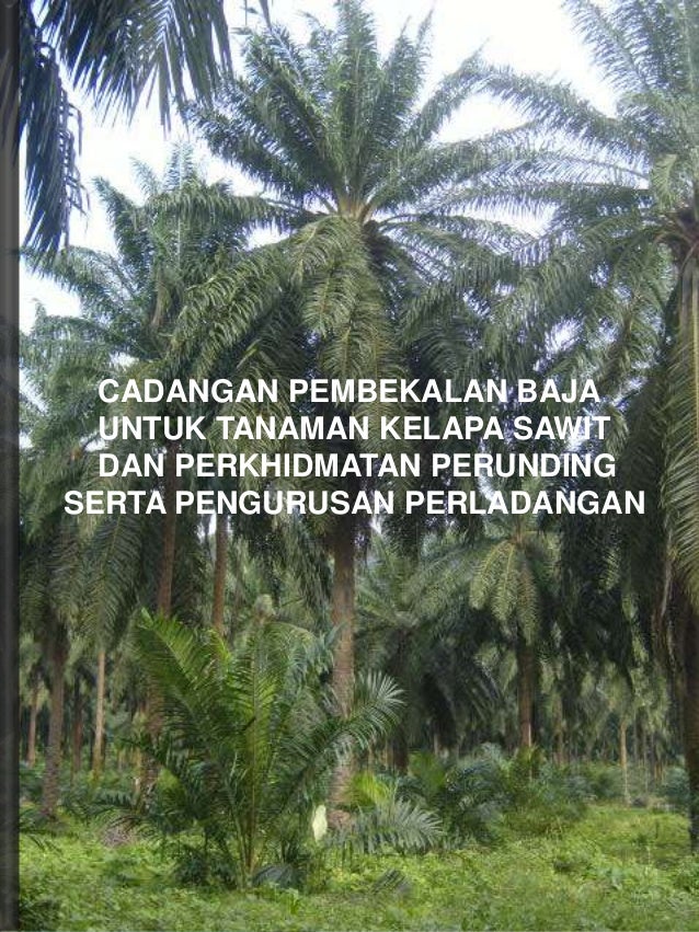 Casb Presentation Baja Sawit