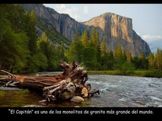 “ El Capitán” es uno de los monolitos de granito más grande del mundo.