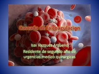 Cascada de la coagulacion
Isai Vazquez Arguello
Residente de segundo año de
urgencias medico quirurgicas
 