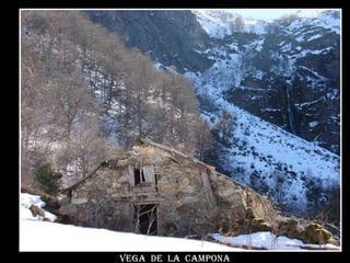 Vega  de  la  campona 