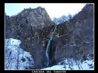 Cascada  del  tabayón 