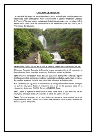 CASCADA DE PEGUCHE
La cascada de peguche es un destino turístico visitado por muchas personas
nacionales como extranjeras. Aquí se encuentra el Bosque Protector Cascada
de Peguche” la cual posee varias características naturales que permiten definir
a esta zona, como parte del patrimonio natural de la Parroquia, del Cantón, de la
Provincia y del Ecuador.
EXTENSIÓN Y LÍMITES DE “EL BOSQUE PROTECTOR CASCADA DE PEGUCHE”
El bosque Protector Cascada de Peguche posee una extensión de 40 has según lo
determinan los datos obtenidos en campo. Sus límites son los siguientes:
Norte: Desde la intersección de las dos vías que vienen de Peguche y Otavalo y a partir
de ellas siguiendo la carretera empedrada hacia la comunidad de Agato, hasta el ingreso
del canal de agua que viene de esta comunidad e ingresa al río Jatunyaku.
Sur: Desde el punto siguiendo el sendero hacia el oeste por la cima de la loma al margen
sur del río Jatunyaku, hasta el encuentro con el eje de la quebrada seca en la
intersección de los ejes E-86900 Sur con el N-26800 Oeste.
Este: Desde el ingreso de este canal en línea recta hasta la cota más alta del río
Jatunyaku, en la cual existe un sendero a la altura del eje 807700 Sur.
Oeste: Del punto anterior y por el curso de la quebrada seca, hasta empatar con la vía
empedrada que va de Otavalo a la comuna Fakcha Llakta hasta el punto de inserción
de la vía que va a Peguche.
 