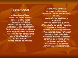 Palpitar Andino Allá en la cordillera, venido de Sierra Nevada, conocí tu alma ígnea y tu pecho volcánico; espacio de águilas lejanas, quebradas y ríos implacables. Es la historia de sangre abrupta en la niñez de nieve intrépida, y el acerado tren del sustento por el túnel las Raíces el más sudado, el más andino de América. ¡Cordillera, cordillera de roqueríos inmensos rugido de pumas y empinados chivos, esplendor de copihues y araucarias parte de este Chile querido! ¡Cómo lucha su gente y palpitan Captrén y Gualletué, también la Princesa y el Indio; y los cráteres de los volcanes! animado llevo tu paisaje y aquellos andares familiares; cordillera de la mano divina de frescor saludable, vas dichosa y reluciente por mis venas emocionales. 