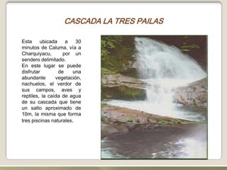 CASCADA LA TRES PAILASEsta ubicada a 30 minutos de Caluma, vía a Charquiyacu,  por un sendero delimitado.En este lugar se puede disfrutar  de una abundante vegetación, riachuelos, el verdor de sus campos, aves y reptiles, la caída de agua de su cascada que tiene un salto aproximado de 10m, la misma que forma tres piscinas naturales.