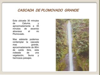 CASCADA  DE PLOMOVADO  GRANDEEsta ubicada 30 minutos de Caluma, y aproximadamente a 35 minutos de ascenso atraviesa el rio Plomovado.Mas adelante podemos contemplar la cascada mas grande, aproximadamente de 80m de caída libre, esta rodeada de una vegetación, fauna y hermosos paisajes. 