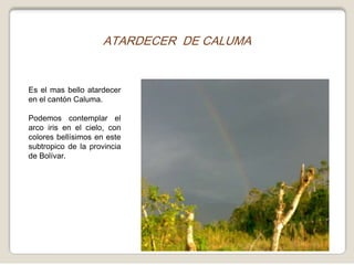 ATARDECER DE CALUMAEs el mas bello atardecer en el cantón Caluma.Podemos contemplar el arco iris en el cielo, con colores bellísimos en este subtropico de la provincia de Bolívar.
